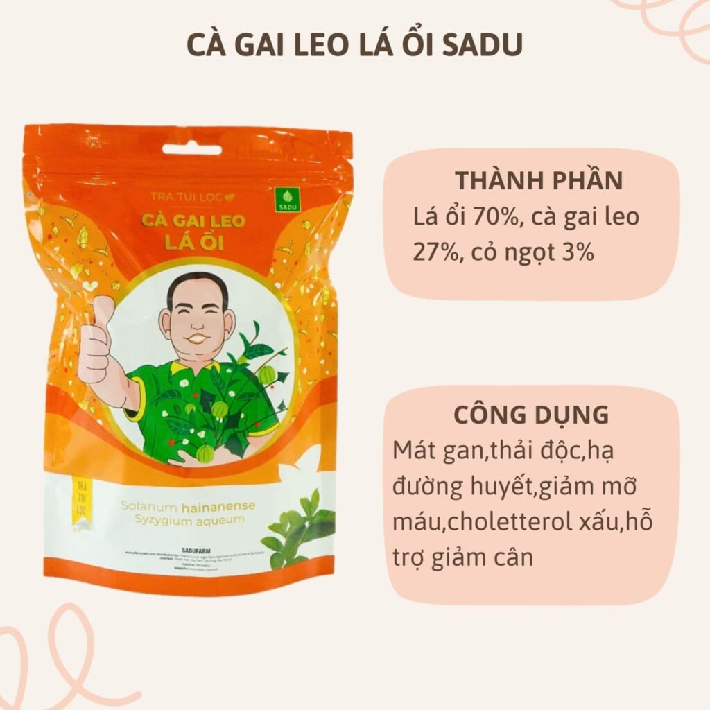 Trà cà gai leo lá ổi Sadu