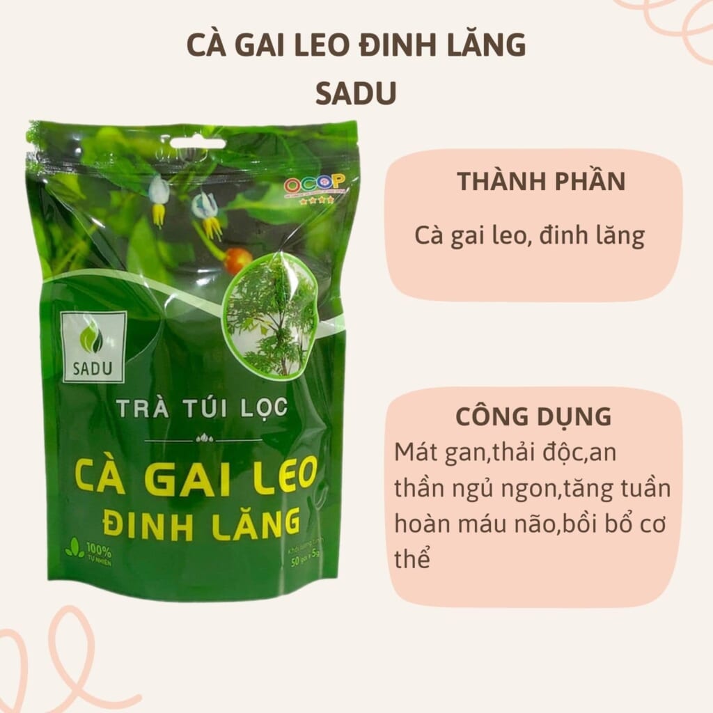 Mua Trà Cà Gai Leo Đinh Lăng Ở Thủ Đức Chính Hãng – Mát Gan, An Thần, Tốt Cho Sức Khỏe