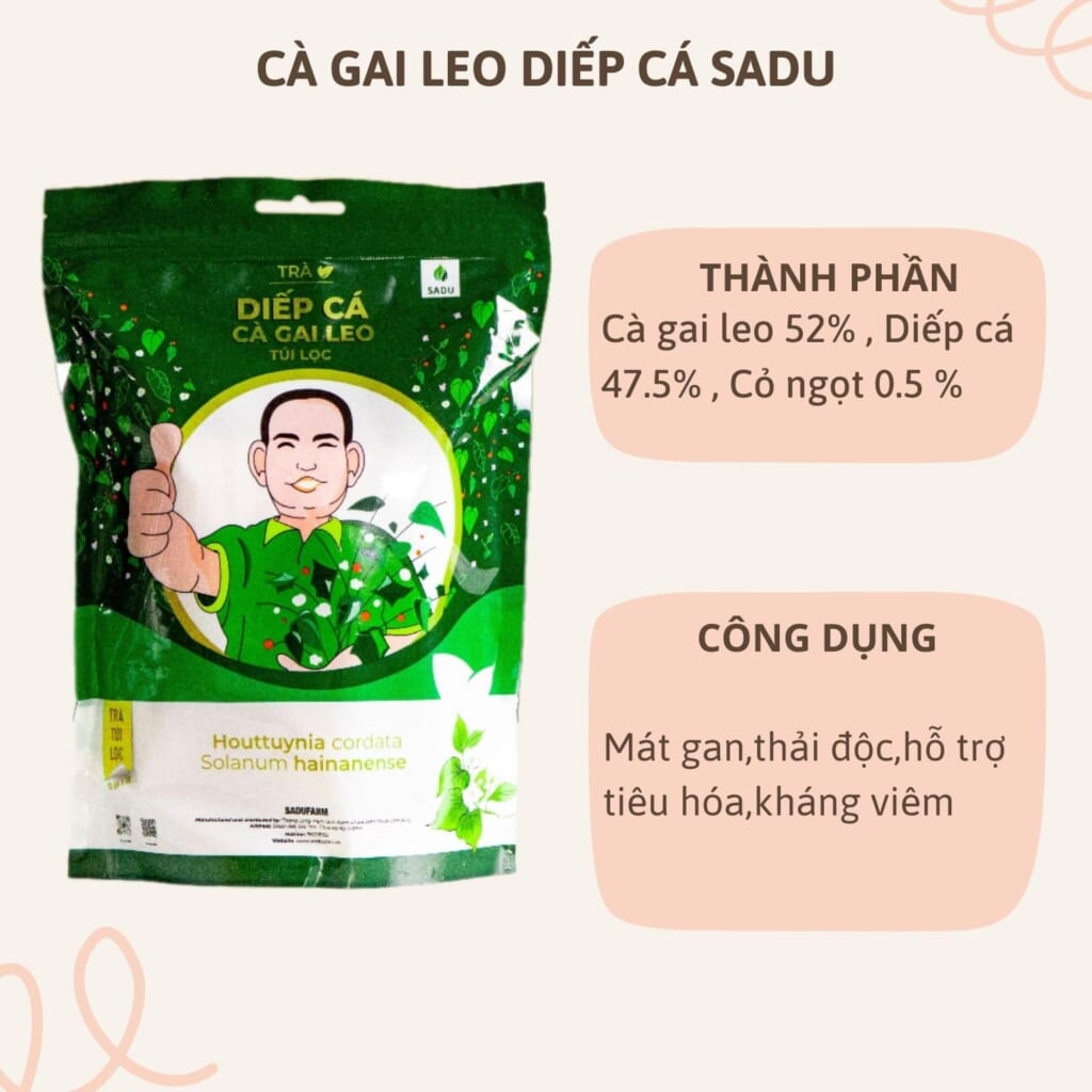 Trà Cà Gai Leo Diếp Cá Sadu – Giải Pháp Mát Gan, Thải Độc, Tốt Cho Người Bệnh Gan