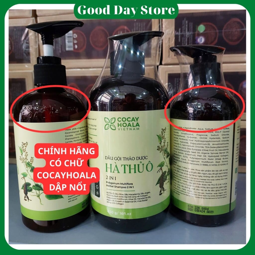 Dầu Gội Hà Thủ Ô – Bí Quyết Dưỡng Tóc Từ Thiên Nhiên Của Người Việt Hiện Đại