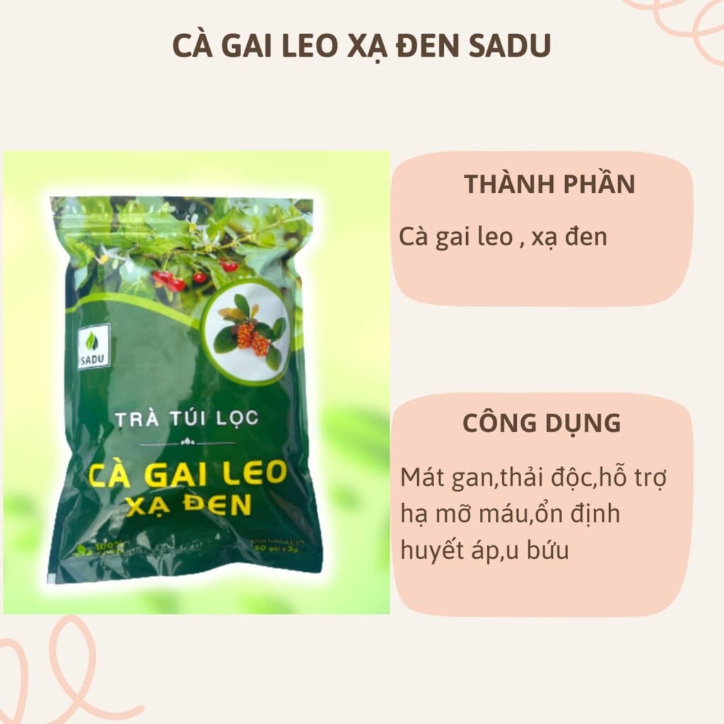 Trà Cà Gai Leo SADU – Giải Pháp Bảo Vệ Gan Tự Nhiên, Hiệu Quả Từ Thiên Nhiên