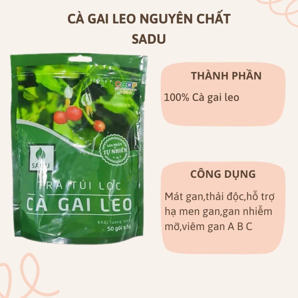 Trà Cà Gai Leo SADU – Giải Pháp Bảo Vệ Gan Tự Nhiên, Hiệu Quả Từ Thiên Nhiên