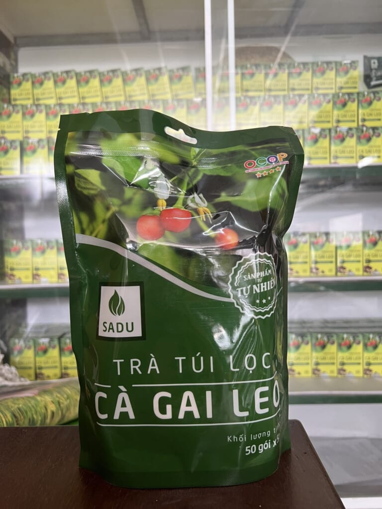 Trà Cà Gai Leo SADU – Giải Pháp Bảo Vệ Gan Tự Nhiên, Hiệu Quả Từ Thiên Nhiên