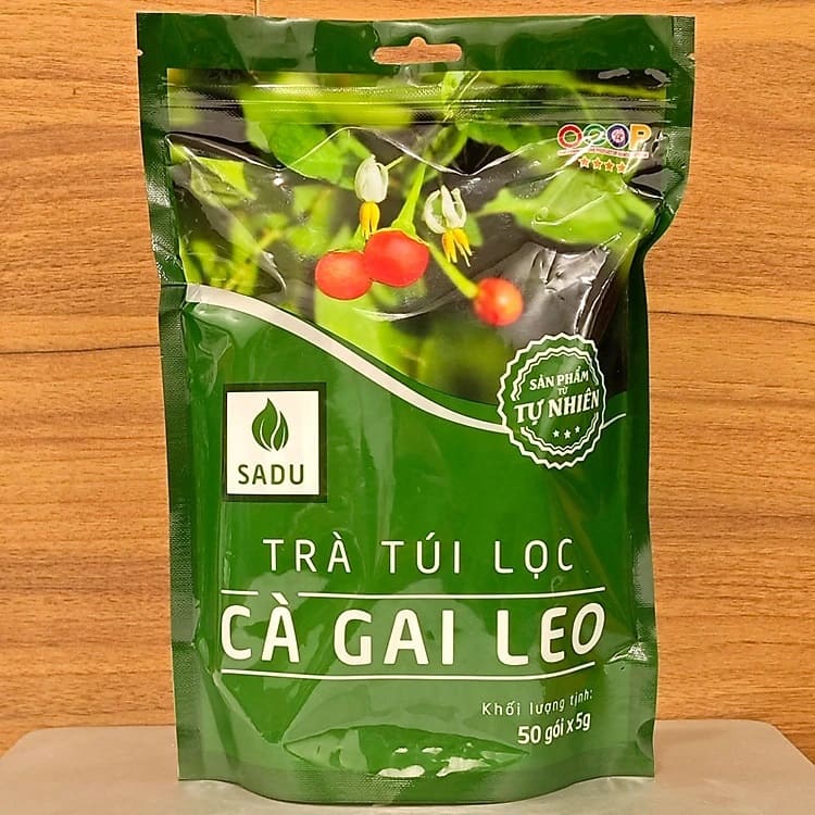 Mua Trà Cà Gai Leo Ở Gò Vấp Chính Hãng – Tăng Cường Chức Năng Gan, Bảo Vệ Sức Khỏe Tự Nhiên