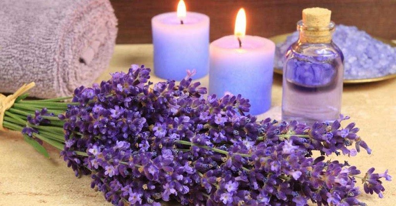 Nến thơm Lavender giúp giấc ngủ sâu hơn