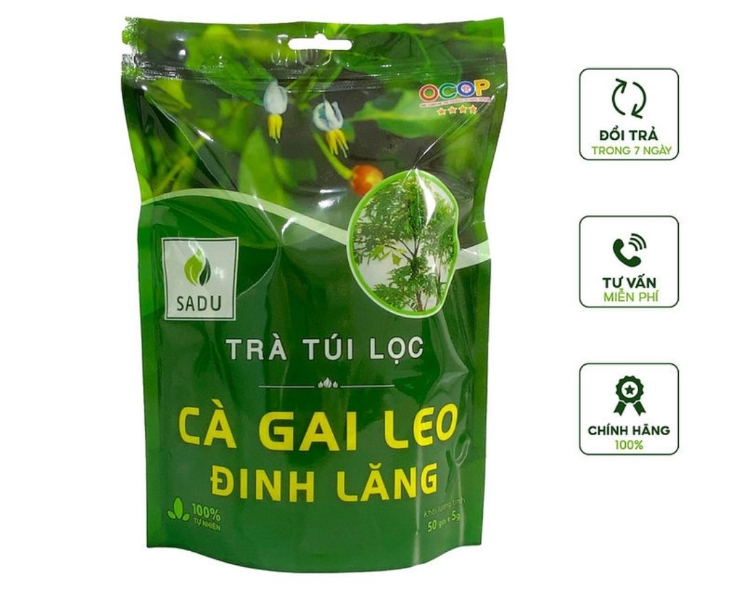 Trà Cà Gai Leo Đinh Lăng Sadu – Giải Độc Gan, Bồi Bổ Cơ Thể Hiệu Quả Từ Thiên Nhiên