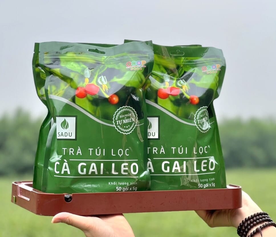 Mua Trà Cà Gai Leo Ở Bình Thạnh Chính Hãng – Giải Pháp Mát Gan, Thải Độc Tự Nhiên